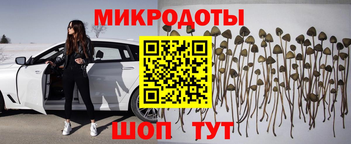 Галлюциногенные грибы ЛСД  Вход с VPN  Кушва 
